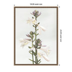 Sylvie Hosta Framed Canvas by Alicia Abla