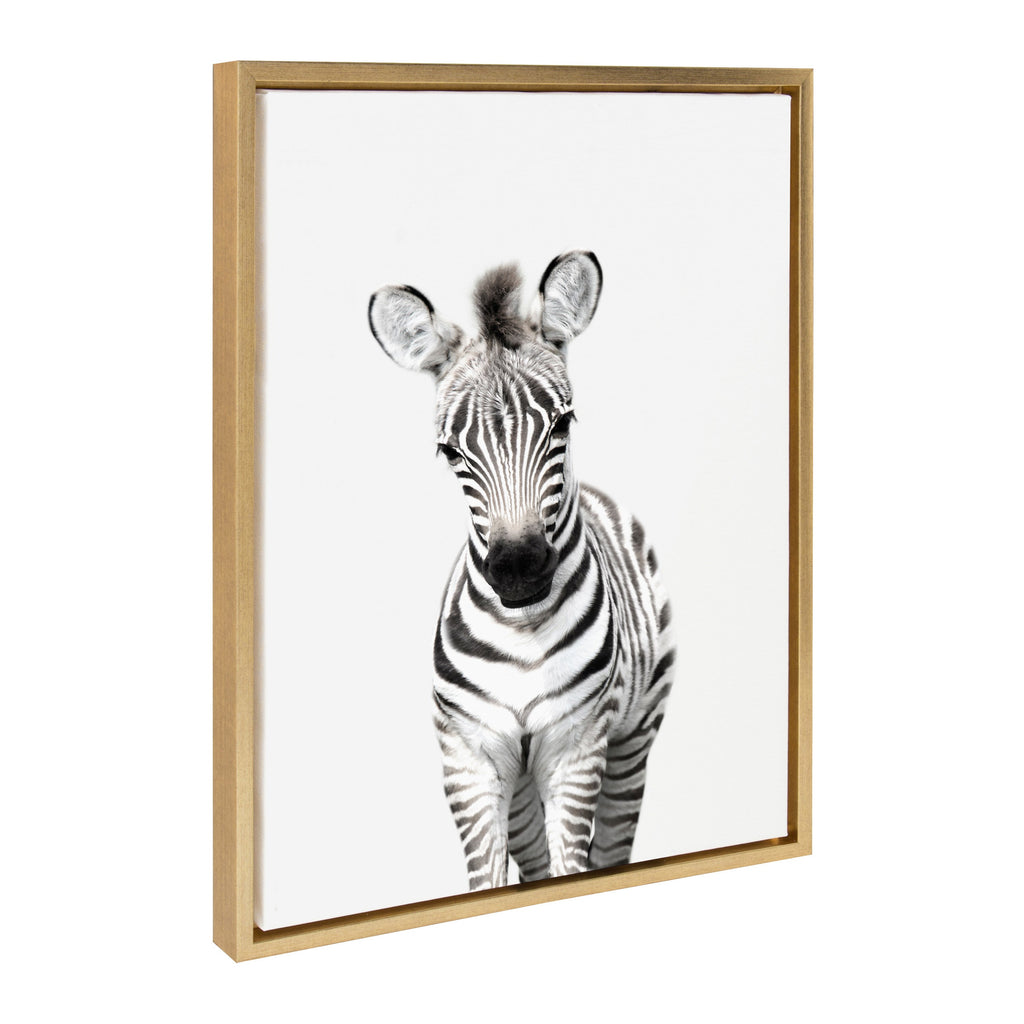 Sylvie Baby Zebra Framed Canvas by Amy Peterson
