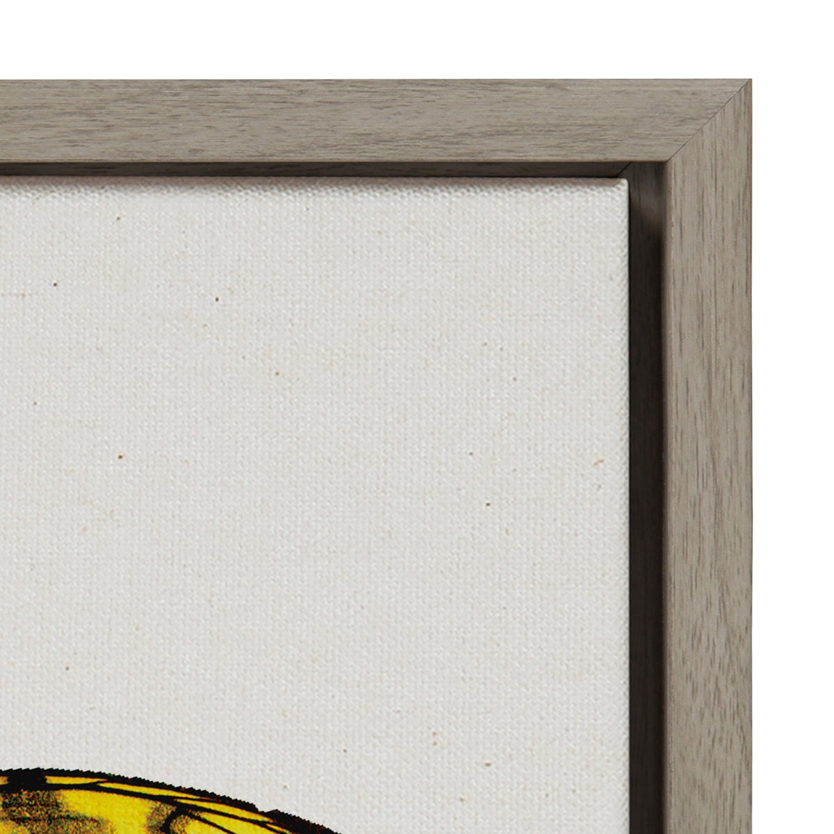 Sylvie Limon Framed Canvas by Robert Cadloff of Bomobob