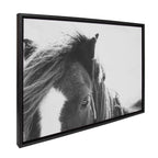 Sylvie Noble BW Framed Canvas by Alicia Abla
