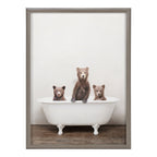 Blake Three Little Bears in Vintage Bathtub Framed Printed Glass by Amy Peterson Art Studio