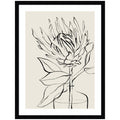 Protea Sketch No. 1 by Sara Berrenson Framed Wall Art Print