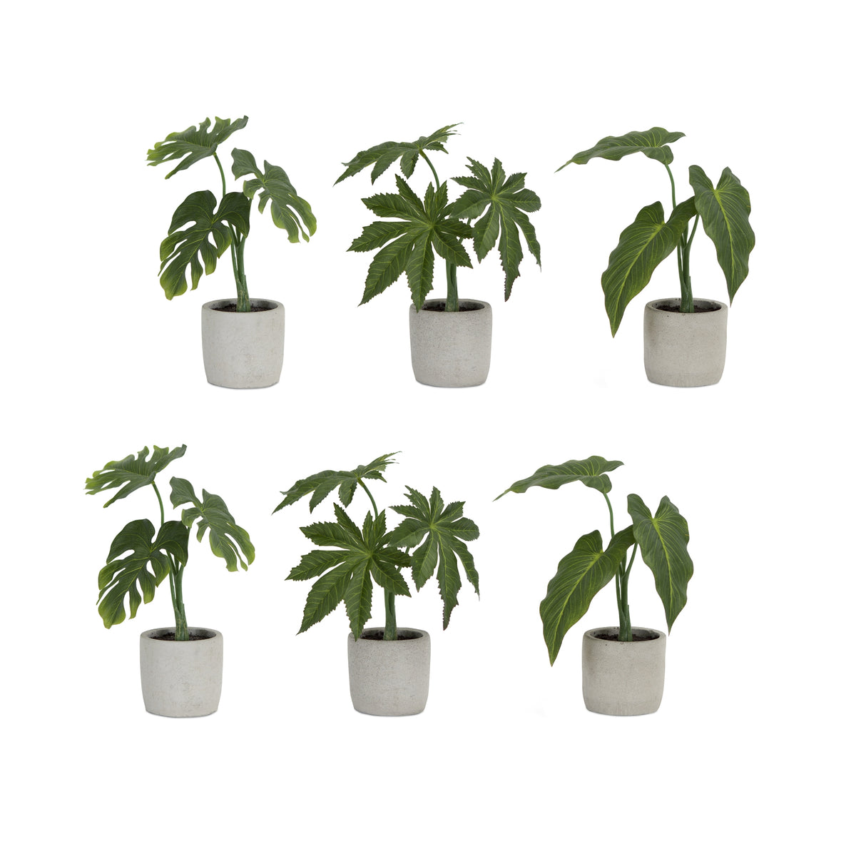 Potted Foliage (Set of 6)