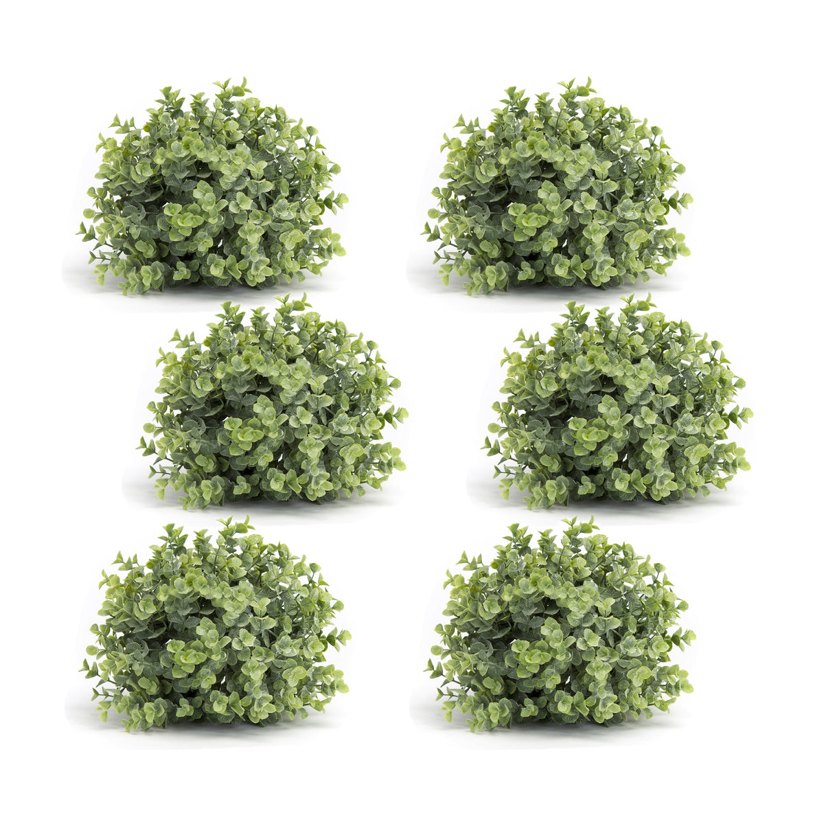 Boxwood Half Orb (Set of 6)