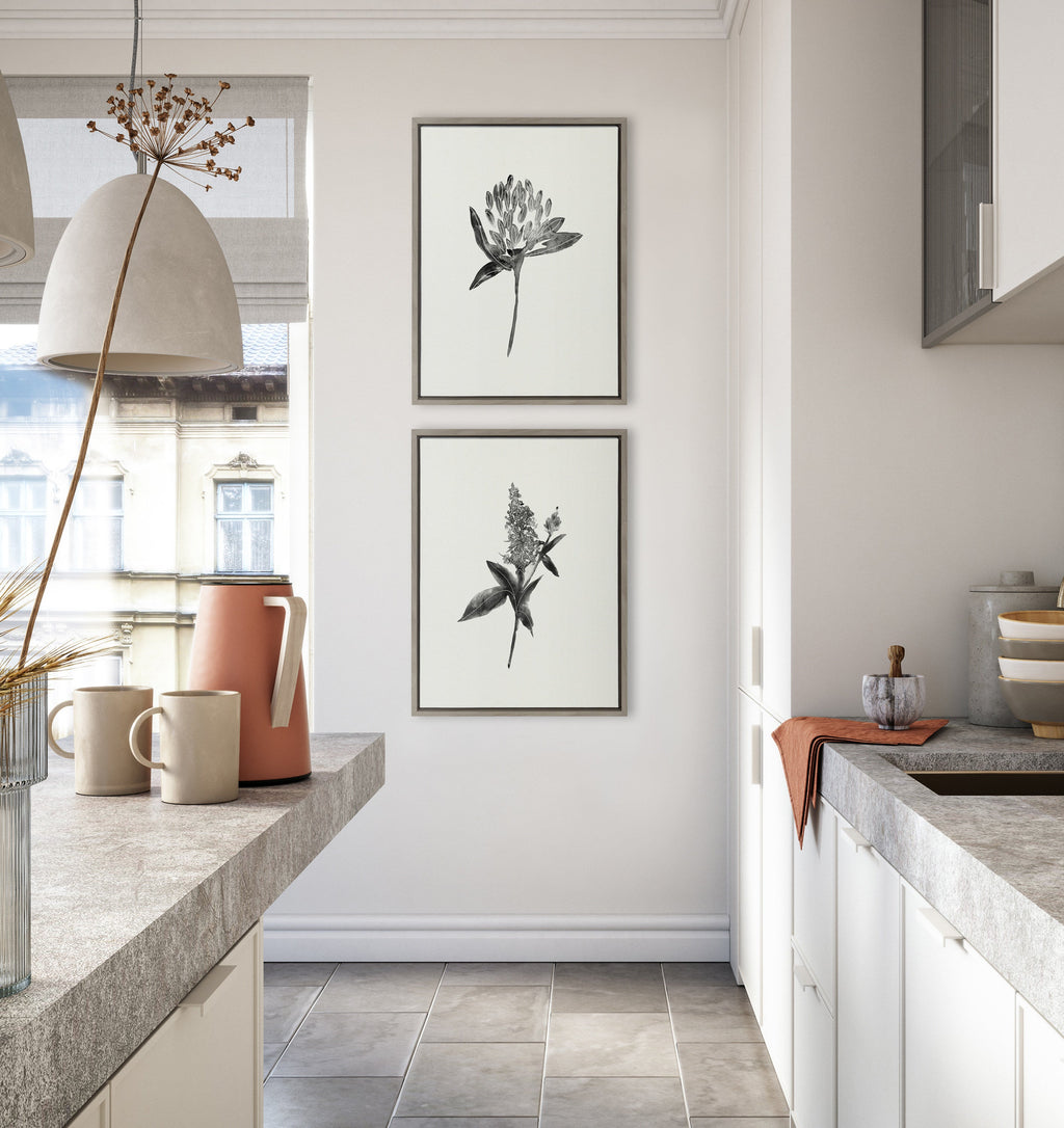 Sylvie Vintage Botanical 1 and 2 Framed Canvas by Teju Reval of SnazzyHues
