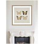 Framed Art Vintage Style Butterflies in Neutral Tones by The Creative Bunch Studio