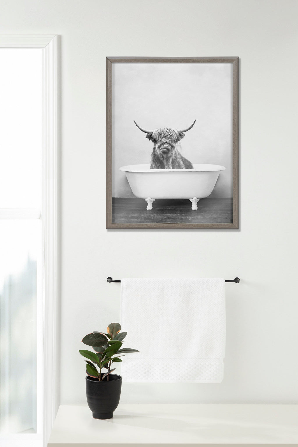 Blake Highland Cow in the Tub BW Framed Printed Glass by Amy Peterson Art Studio