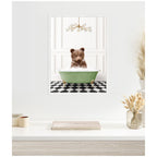 Sylvie Bear Cub in Green Bathtub Checker Floor Framed Canvas by Amy Peterson