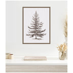 Sylvie Framed Canvas Vintage Evergreen Fir Tree lllustration II by The Creative Bunch Studio