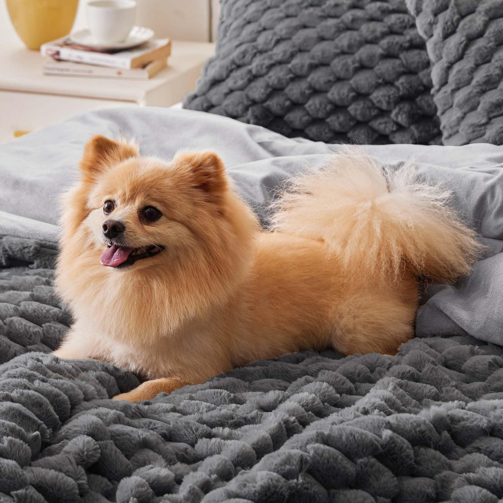 Bedelite Fluffy Queen Comforter Set - Grey Fleece Soft Comforter For Queen Size Bed, Luxury Warm Bedding Set For Winter, Fuzzy B