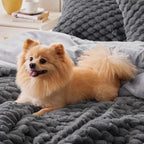 Bedelite Fluffy Queen Comforter Set - Grey Fleece Soft Comforter For Queen Size Bed, Luxury Warm Bedding Set For Winter, Fuzzy B