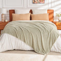 Emme Fluffy Soft Blanket Throw Size - 50'*60' Green Soft Fluffy Warm Throw Blankets For Couch, Sofa, Chair, Bed, Camping, Picn