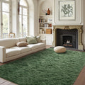 5x8 Ft Green Rugs for Bedroom Living Room, Soft Modern Indoor Fuzzy Shaggy Area Rug, Non-Slip Fluffy Furry Rug for Teen Girls an