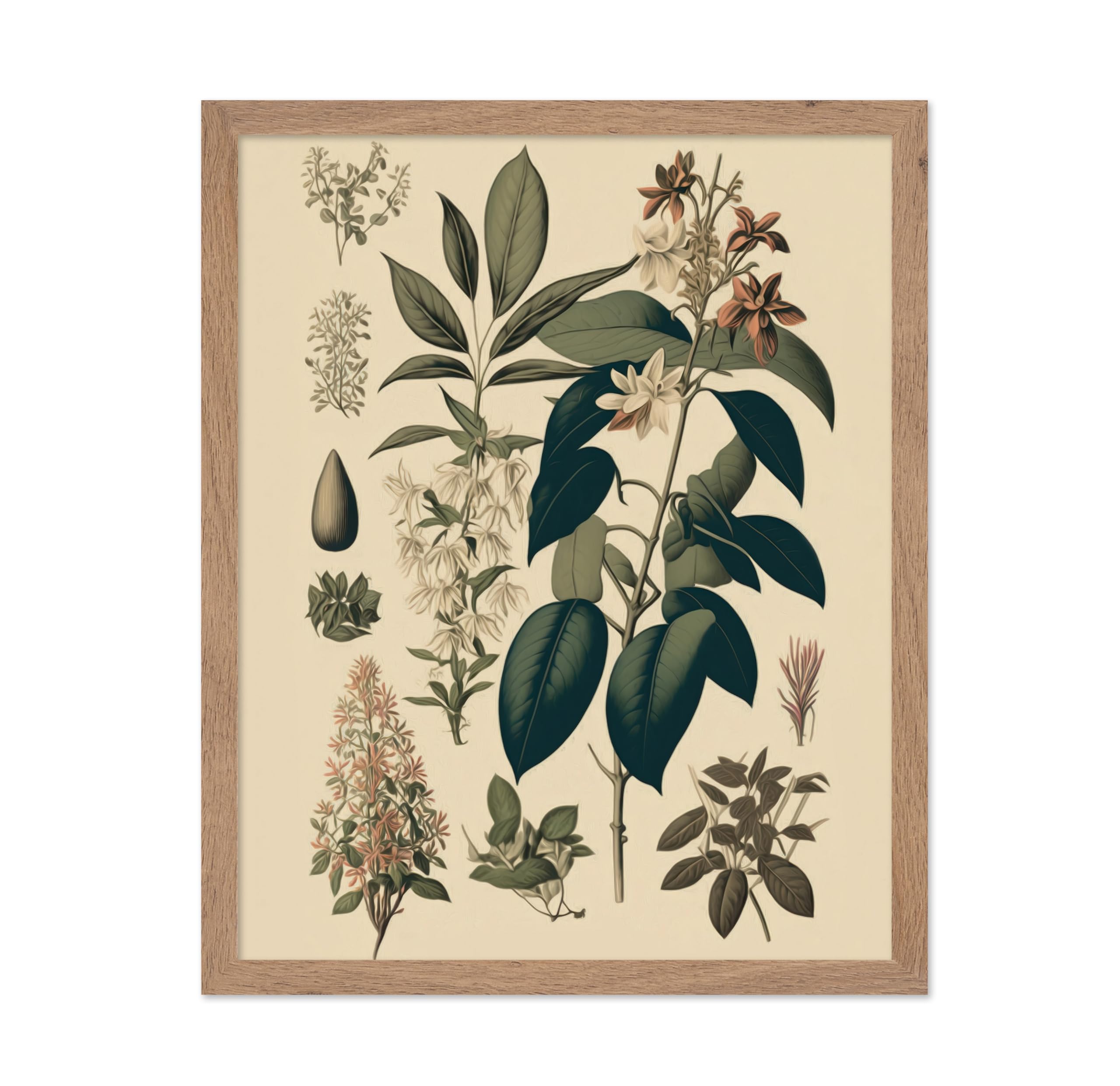 Poster Master Vintage Botanical Poster - Retro Floral Print - Gift for Gardener, Housewarming - Orchid, Jasmine, Flower, Boho - 