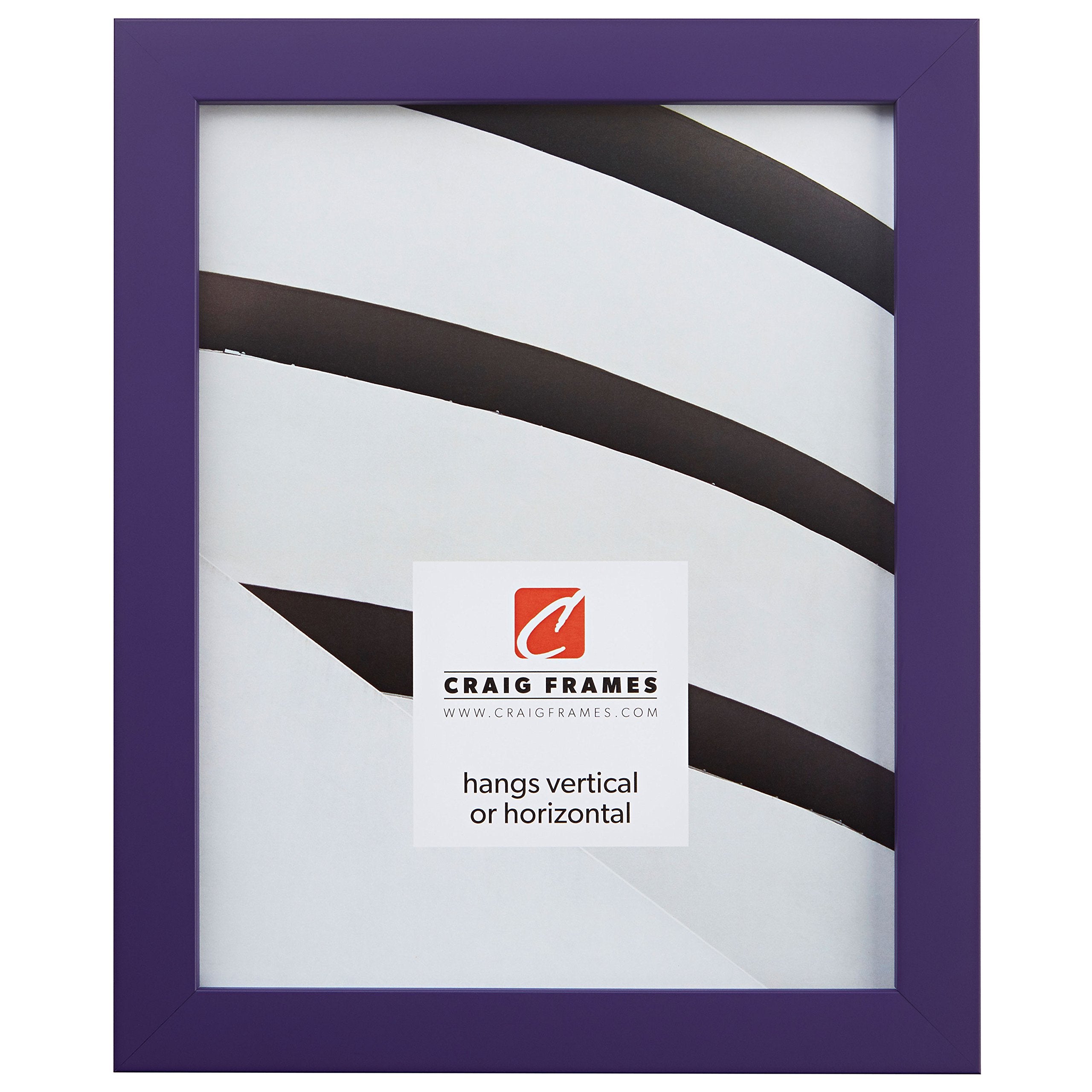 Craig Frames Confetti, Modern Purple Picture Frame, 10 x 12 Inch