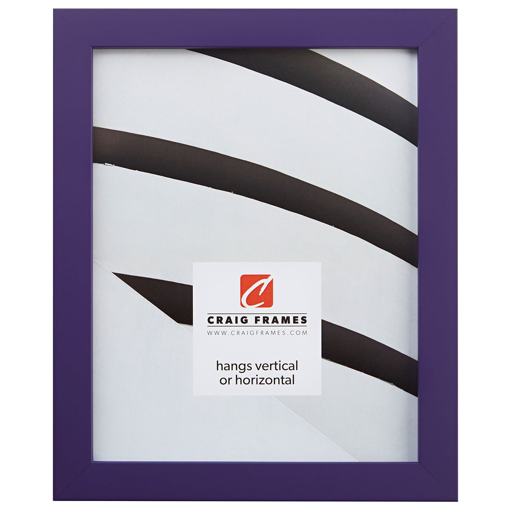Craig Frames Confetti, Modern Purple Picture Frame, 20 x 30 Inch