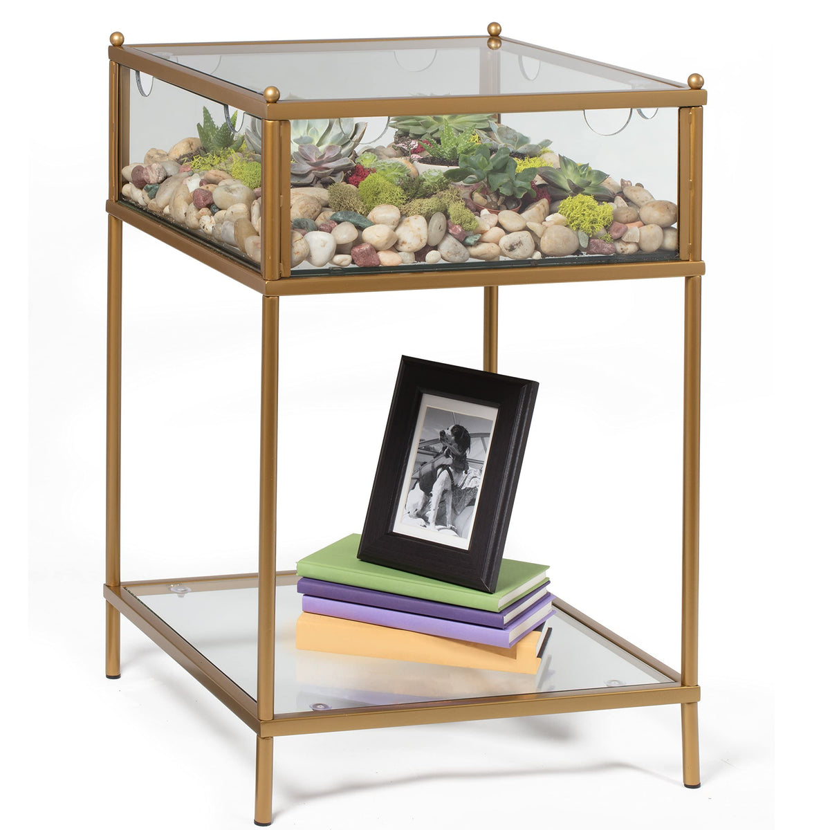 D'Eco Square Terrarium Display End Table w/Reinforced Glass in Gold Iron - (Dims: 18 x 18 x 27) - Indoor Decor for Any Home or O