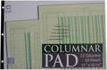 Norcom Columnar Pad 13 Columns, 11 X 16.375 Inches, 50-Sheets, Green (76713-10)
