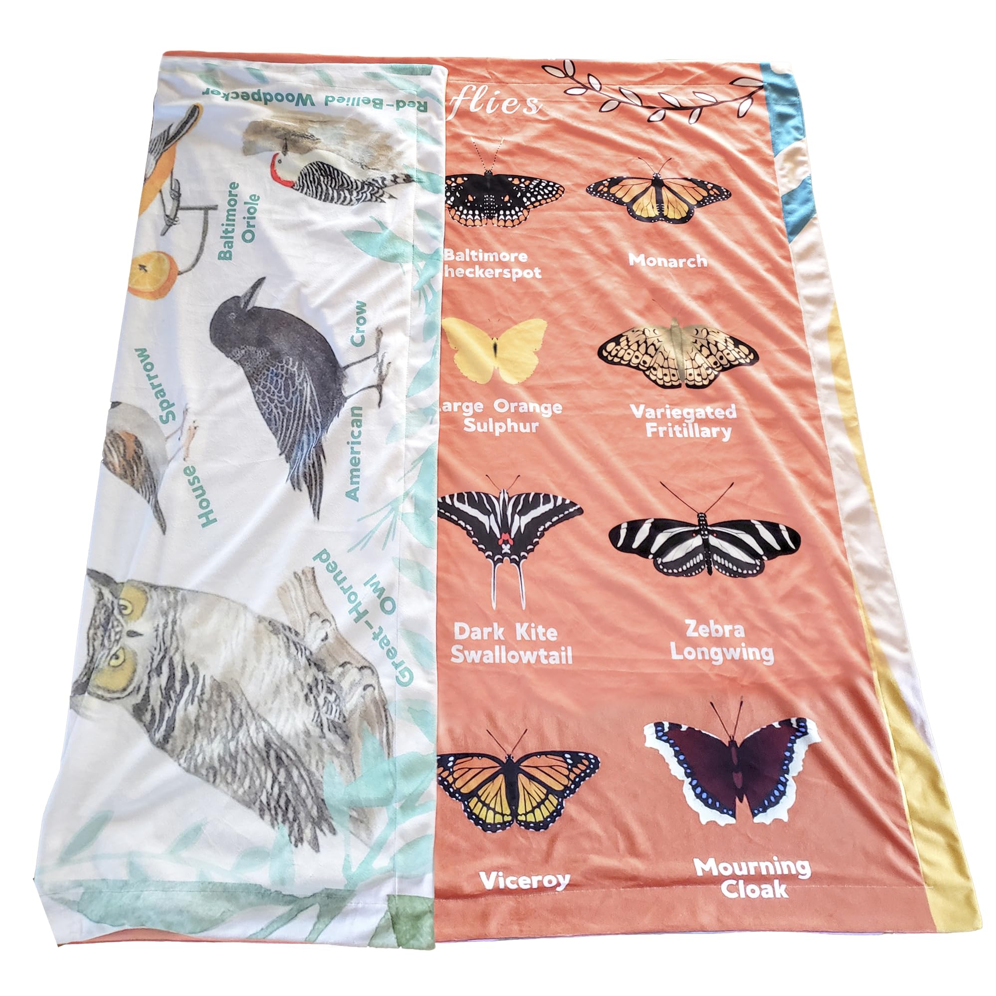 Birdy Boutique - Double Sided Learning Blanket - I Love Dinosaurs - Learn Species And Names & World Map - Cozy Soft Minky - Grea