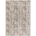 Antalya Ay2 Brown Transitional Rug Rectangle 9' X 13 ' 2"