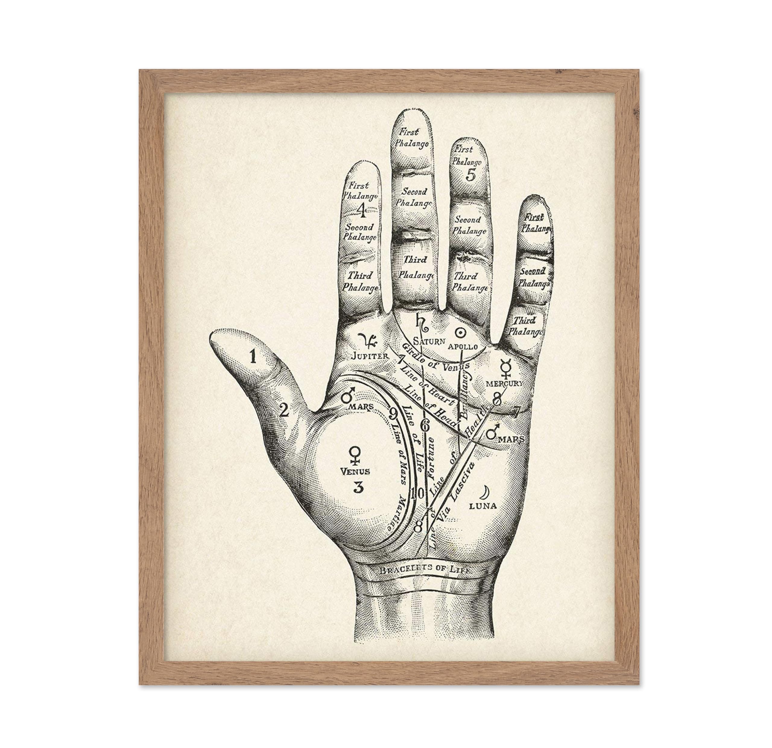 Poster Master Vintage Palm Reading Chart - Vintage Halloween Home Witchy Occult, Wicca, Wiccan Magic Decor Oddities and Curiosit