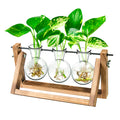 Desktop Propagation Station, Plants Terrarium, Plants Lover Gifts For Women,Plant Cutting Holder Home D  Cor,Gifts For Women,Hou