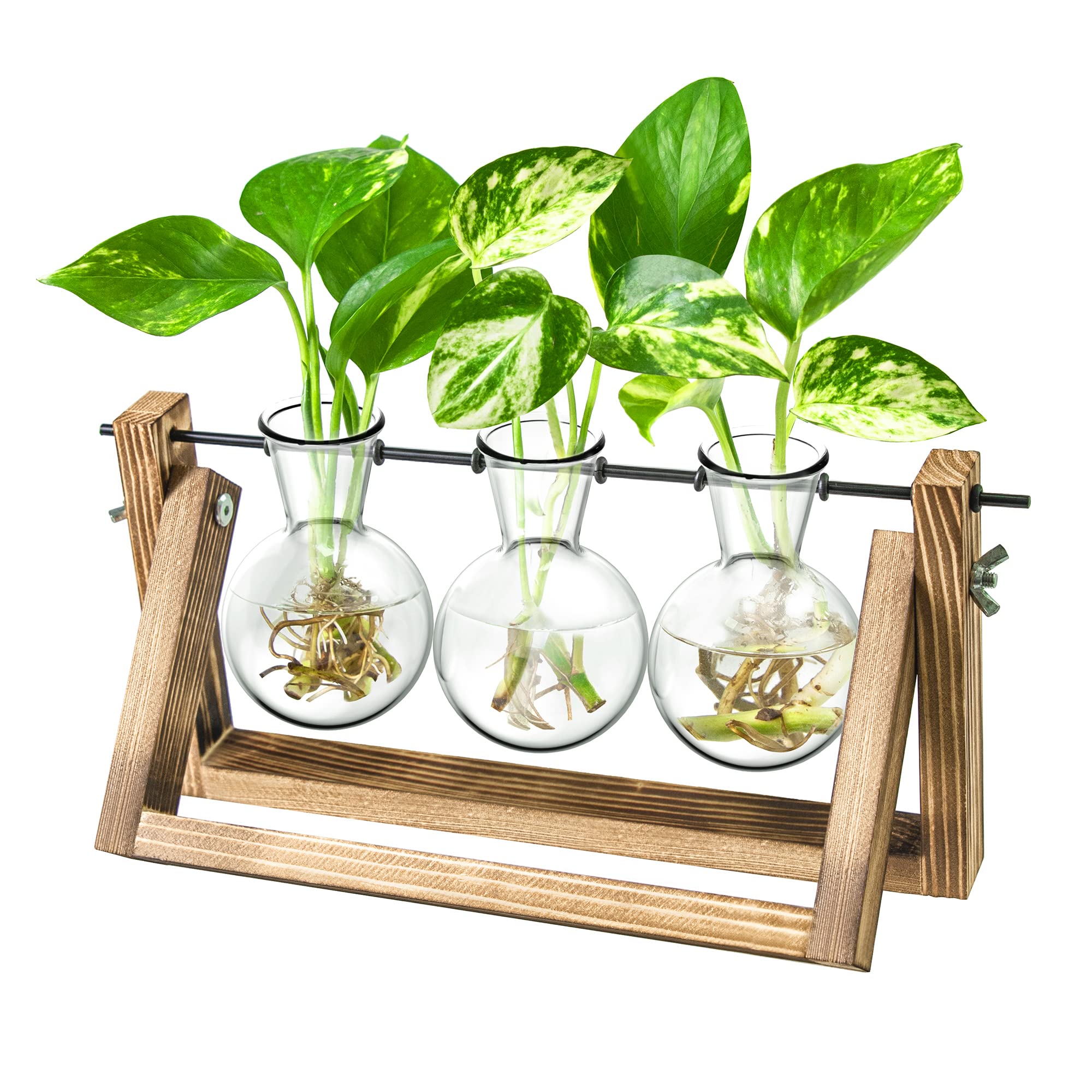 Desktop Propagation Station, Plants Terrarium, Plants Lover Gifts For Women,Plant Cutting Holder Home D  Cor,Gifts For Women,Hou