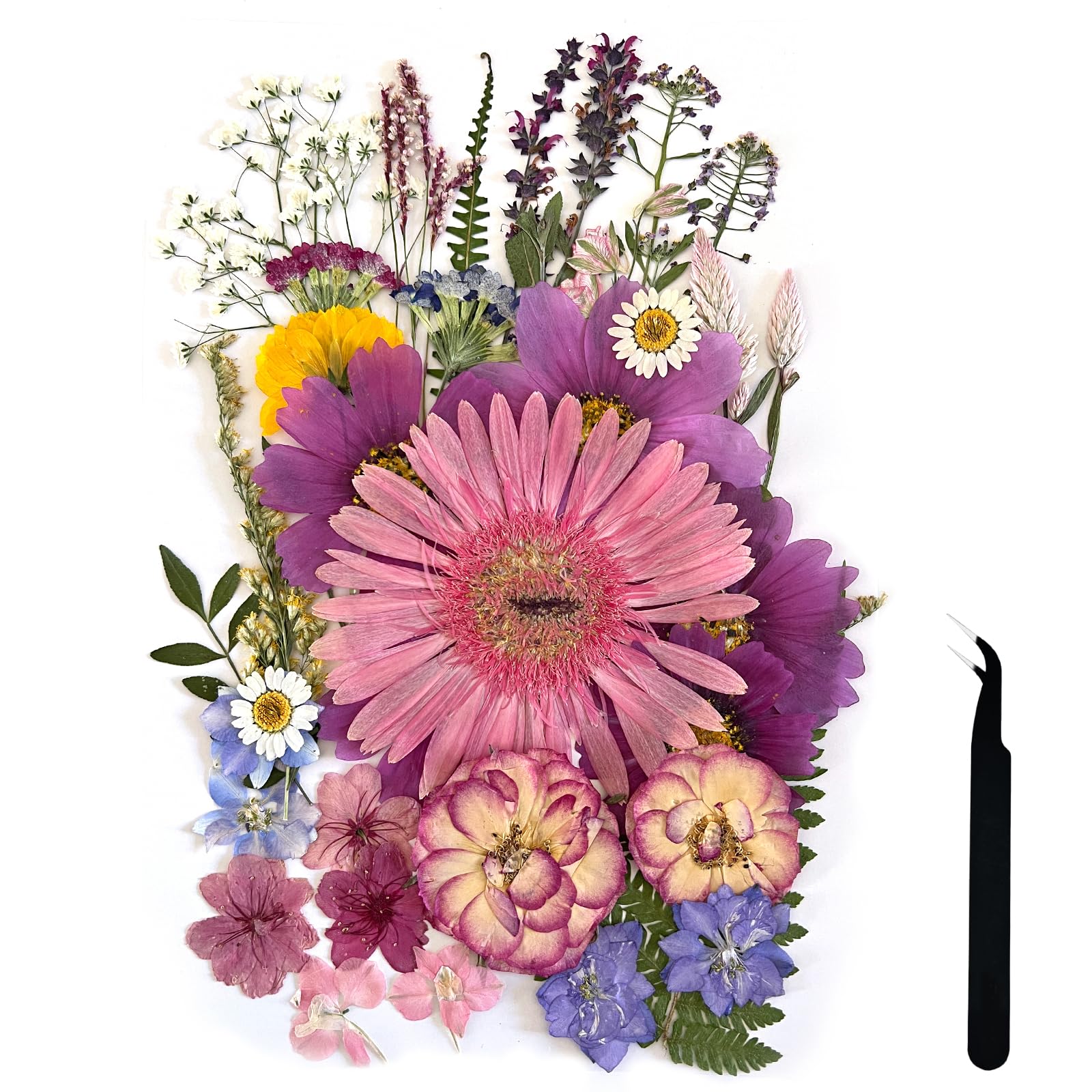 Zqmino A4 Large Dried Pressed Flowers For Resin Purple Pressed Flowers Real Dry Natural Flowers Leaves For Resin Mold Cake Candl