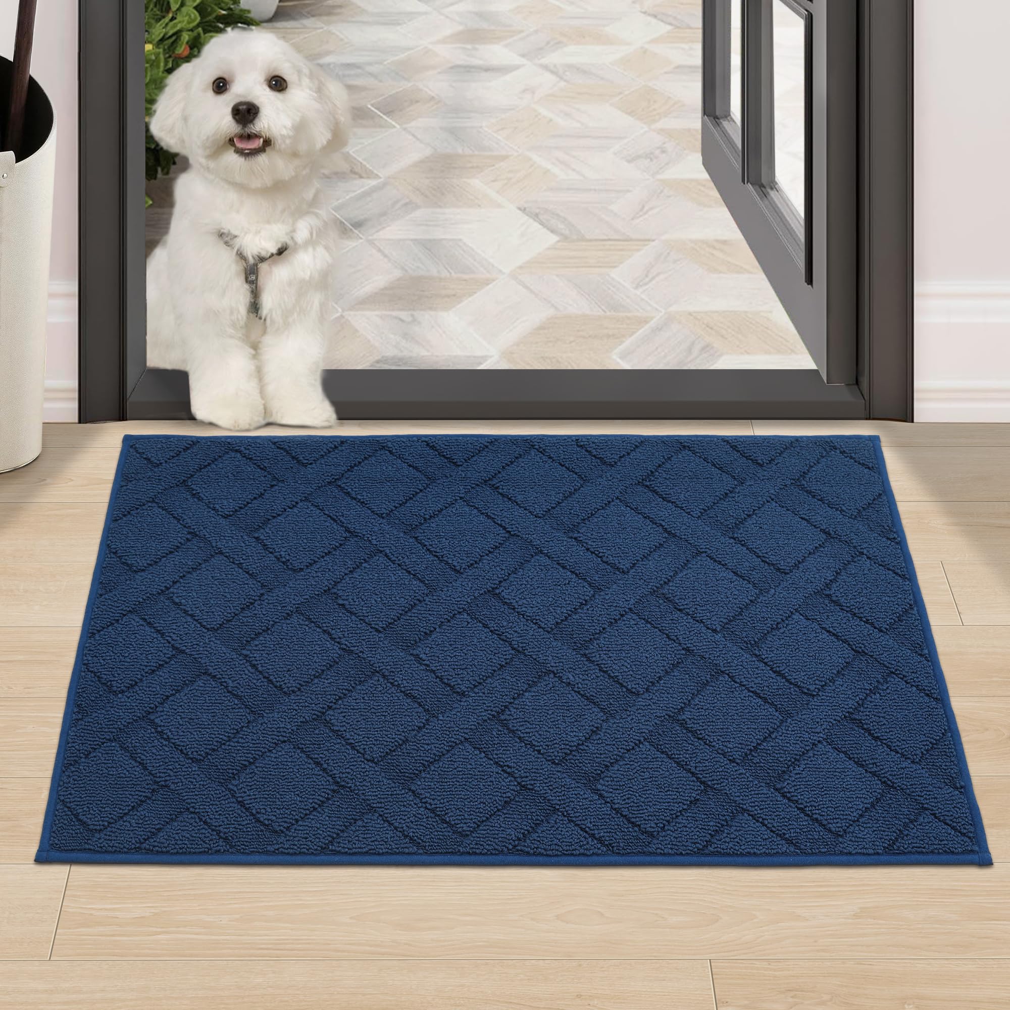 Homeer Dog Door Mat For Muddy Paws, Absorbs Moisture And Dirt, Non-Slip Washable, Polypropylene Entry Indoor Mat (24X36 Inches,