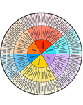 Vrocuse Feelings Wheel Large 12 Inch, Acrylic Emotion Wheel Chart For Therapy School Counselor, Social Worker, Counseling Office