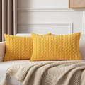 Kevin Textile Pack Of 2 Velvet Pillow Covers Striped Throw Cushion Case Set Accent Corduroy Lumbar Pillowcases With Hidden Zippe