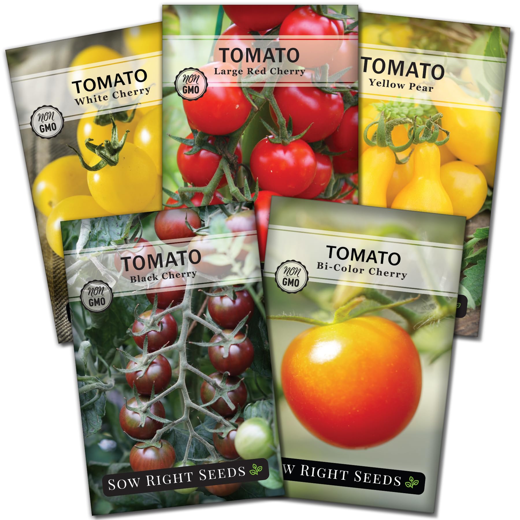 Sow Right Seeds - Cherry Tomato Seed Collection For Planting - Black, Large Red, White, Orange, Bi-Color Cherry And Yellow Pear