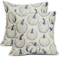 Aytipun Blue Pumpkin Fall Pillow Covers 18X18 Set Of 2 Autumn Themed Thanksgiving Harvest Print Decorative Throw Pillows Outdoor