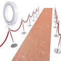 Tatuo Carpet Runner Runway Rug 55 GSM Thickness with Carpet Tape for Prom Wedding Party Outdoor Indoor Hallway Rug(2.46 x 30 Fee