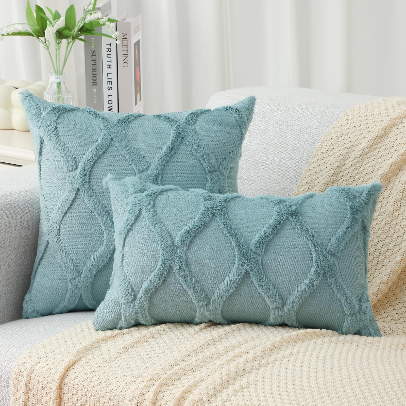 Decoruhome Spring Throw Pillow Covers 20X20 Inch Set Of 2, Soft Plush Faux Fur Wool Aqua Couch Pillow Covers, Decorative Pillow Cases For Bed Sofa Living Room Home Decor