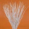 40Pcs Real Dried Birch Twigs - 17 White Decorative Birch Branches for Vase, Centerpiece, Wedding Decor, Birch Sticks for DIY Cra