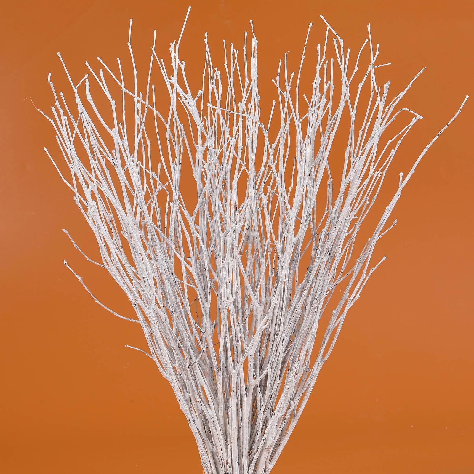 40Pcs Real Dried Birch Twigs - 17 White Decorative Birch Branches for Vase, Centerpiece, Wedding Decor, Birch Sticks for DIY Cra