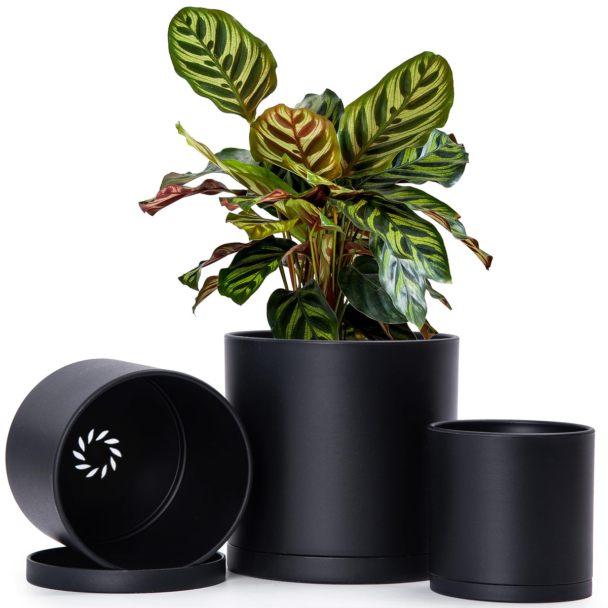D'Vine Dev 4.5 Inch 5.5 Inch 6.5 Inch, Set Of 3 Plastic Planter Pots For Plants With Drainage Hole And Seamless Saucers, Black C