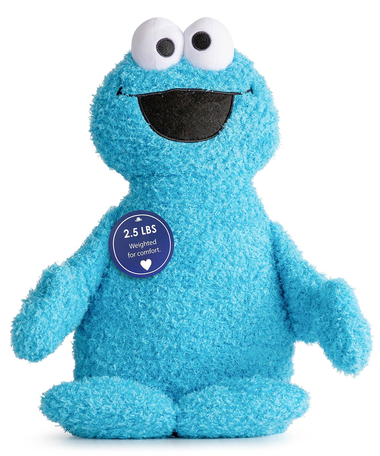 Weighted Sesame Street Cookie Monster Fuzzy Plush Pillow Buddy - 2.5 Lbs Super Soft Stuffed Pillow - 20 Inches