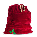 Sunnywood Santa Christmas Gift Bag Large Stretchy Velour Present Sack with Golden Drawstring, 36 x 27, Red Holly