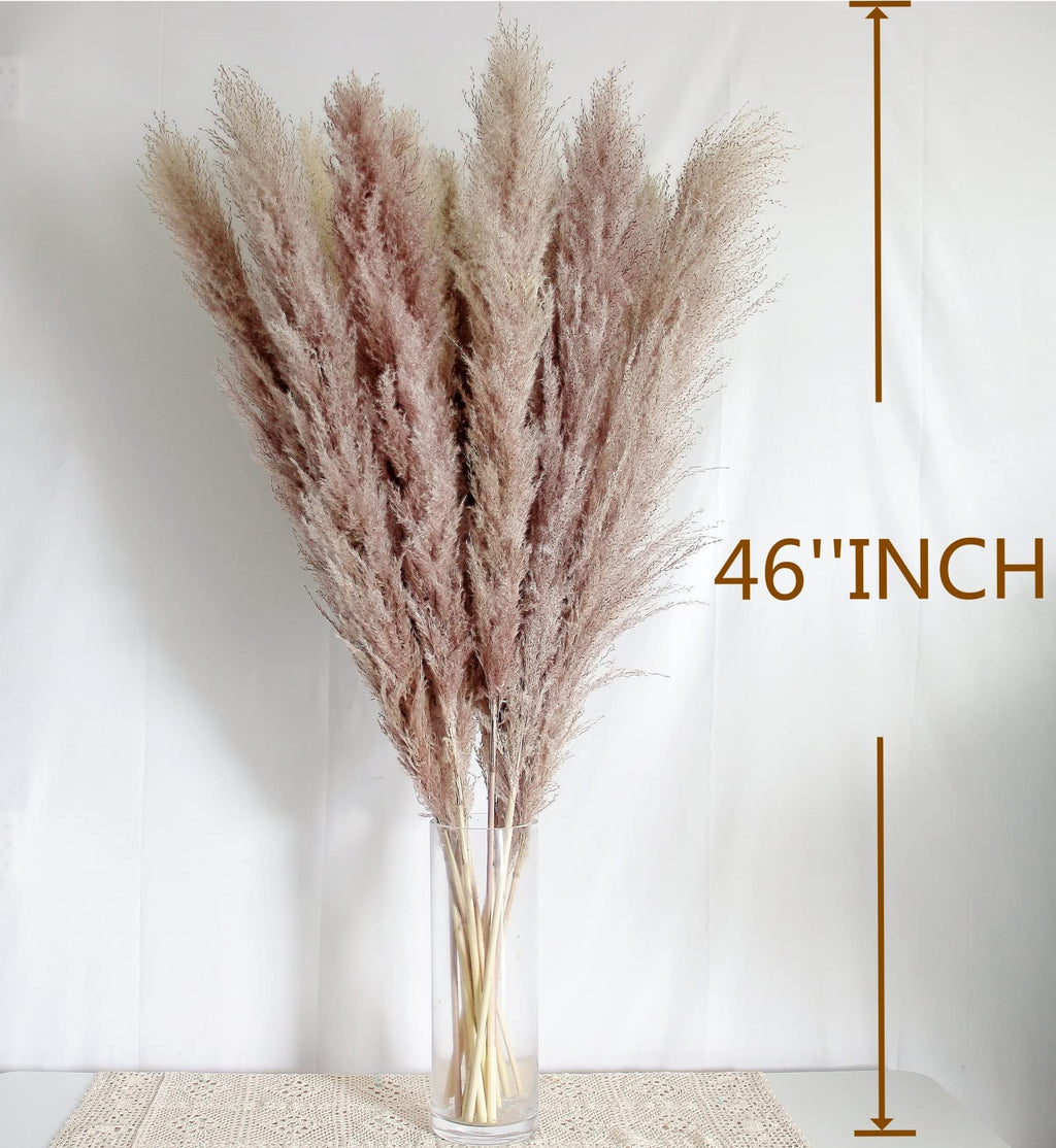 46'' Inch 10 Stems Natural Pampas Grass Decor Tall, Pompas Grass, Tall Pampas Grass For Weddingm, Farmhouse, Boho Home Decor (Gr