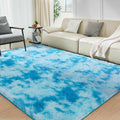 Ultra Soft Rug for Living Room, 3X5 Fluffy Shag Area Rug for Bedroom, Modern Shaggy Carpets Fuzzy Rug for Teens Dorm Nursery Hom