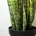 Ql Design Artificial Snake Plant 26 Inches Fake Sansevieria Artificial Potted Plants For Indoor And Outdoor, Home, Office Decora