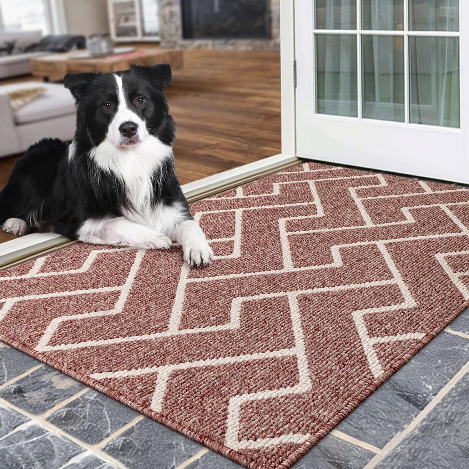 Hicorfe Indoor Doormat,Front Back Door Mat Rubber Backing Non Slip Door Mats,32'X48' Absorbent Resist Dirt Entrance Doormat In