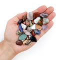 DANCING BEAR 2 Pounds Tumbled Polished Natural Gem Stones + 24 page Rock & Mineral Book. Average Stone Size  inch. Choose 1 or 2