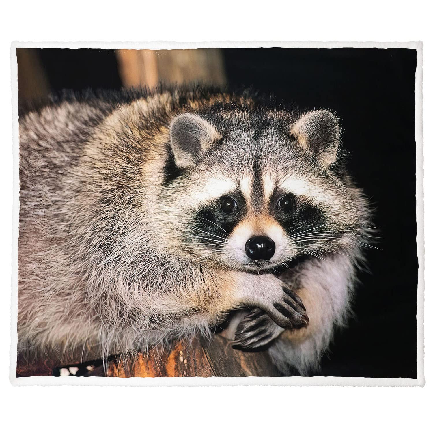 Xsmei 50'X60' Raccoon Sherpa Blanket Animal Print Throw Blanket Super Soft Fuzzy Blanket Thick Warm Fleece Blankets For Couch