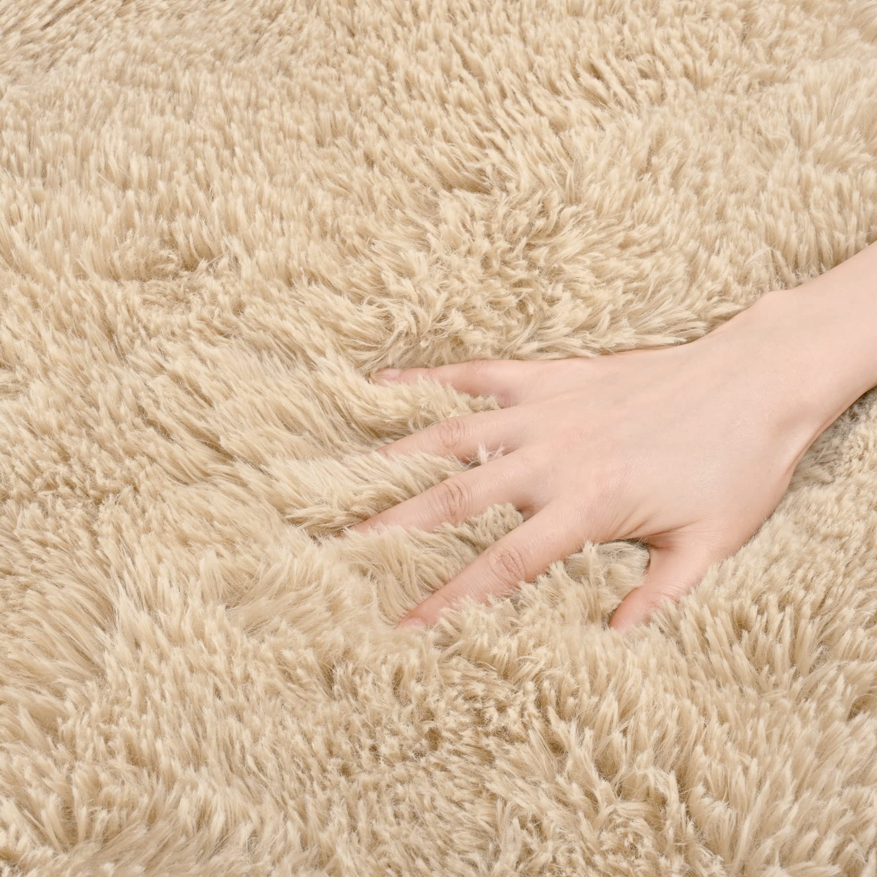 Detum 2X3 Rug Small Beige Rug Light Tan Fluffy Rugs For Bedroom Kicthen Entryway Hallyway Washable Area Rug Super Soft Throw Rug