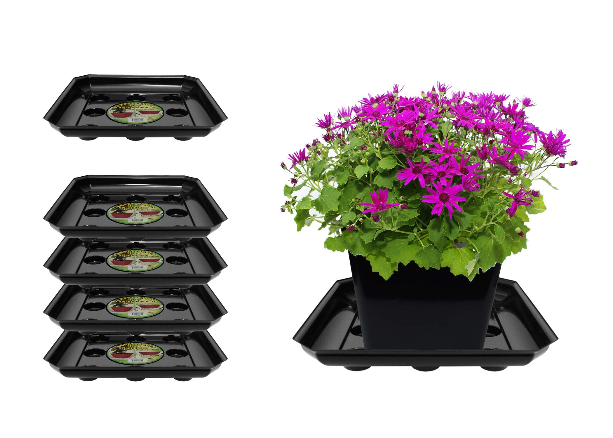 Curtis Wagner Plastics Designer Series Plant Saucer (5-Pack) - Black, Square (Diameter: 7.75' Base, 10' Top, 1.62' Depth) Thi
