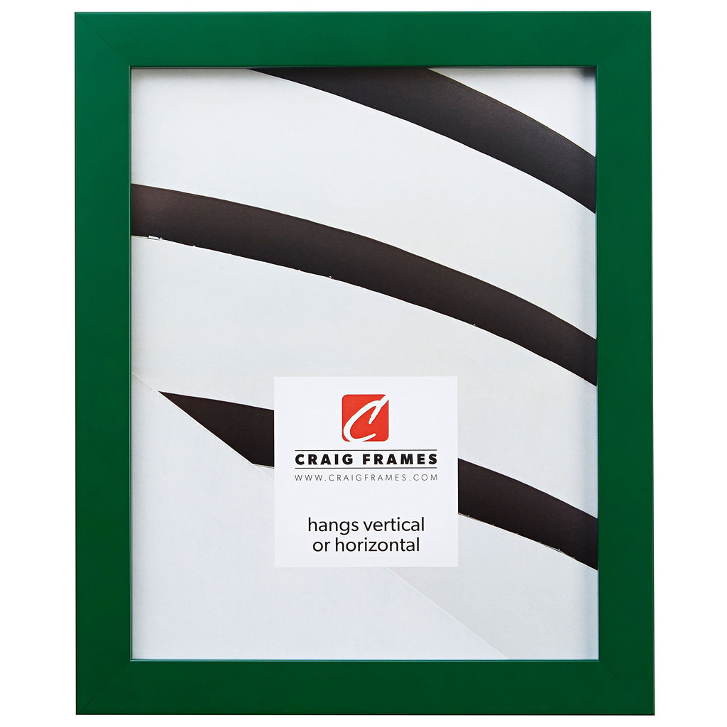 Craig Frames Confetti, Modern Green Picture Frame, 16 x 24 Inch