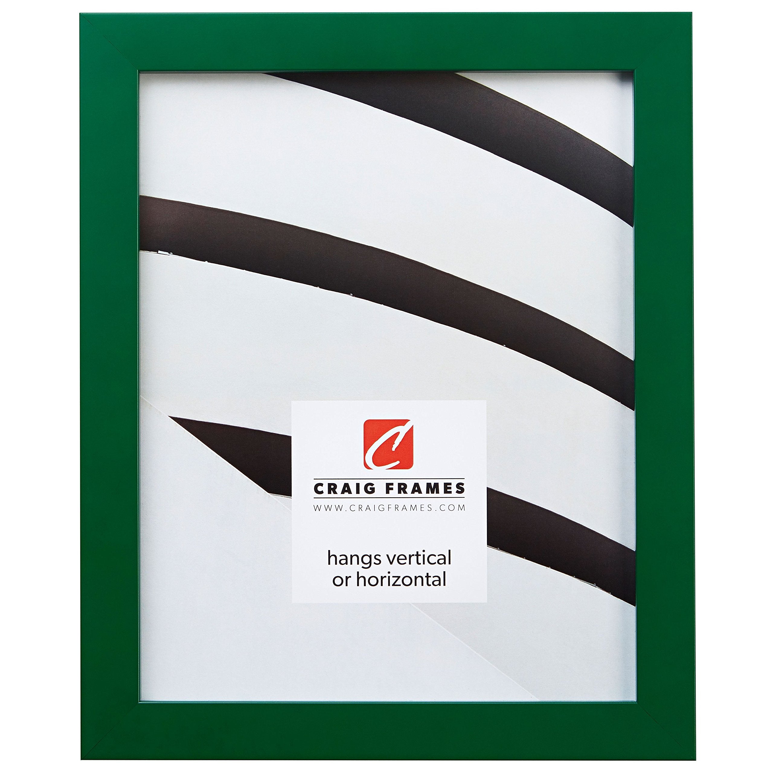 Craig Frames Confetti, Modern Green Picture Frame, 16 x 24 Inch